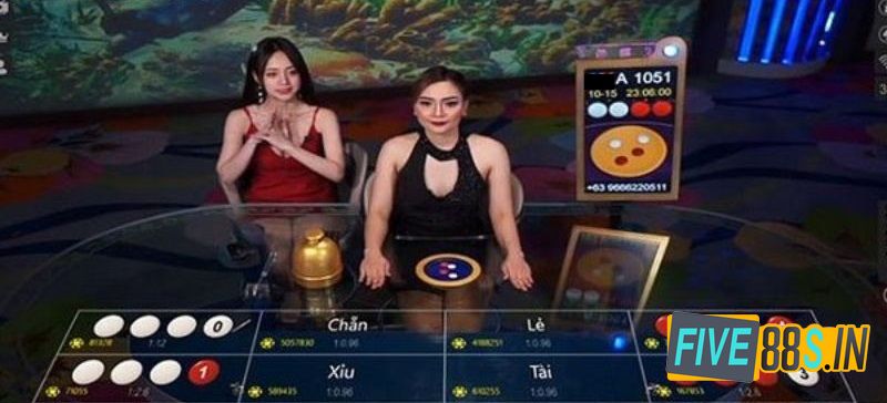 Tham Gia Nhóm Kéo Xóc Đĩa Kubet Bất Bại Cho Cược Thủ 3 Học hỏi nhiều kinh nghiệm hay khi chơi theo nhóm kéo